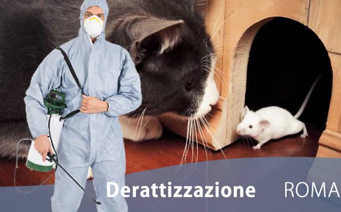 Derattizzazione Roma