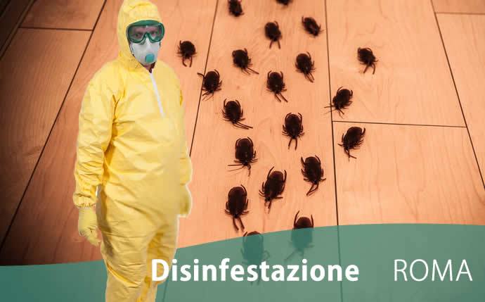 Disinfestazione Roma